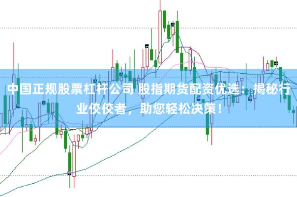 中国正规股票杠杆公司 股指期货配资优选：揭秘行业佼佼者，助您轻松决策！