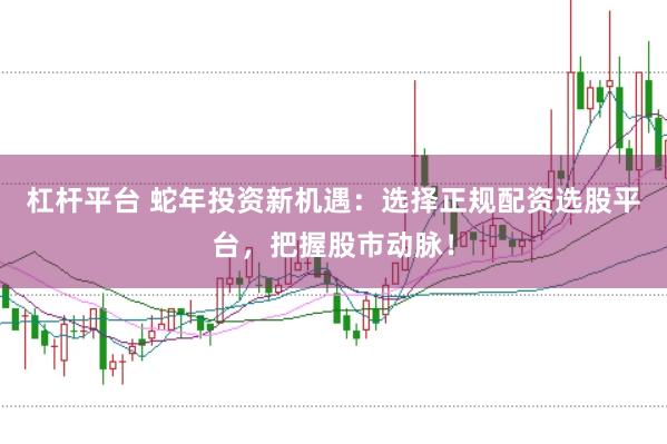 杠杆平台 蛇年投资新机遇：选择正规配资选股平台，把握股市动脉！