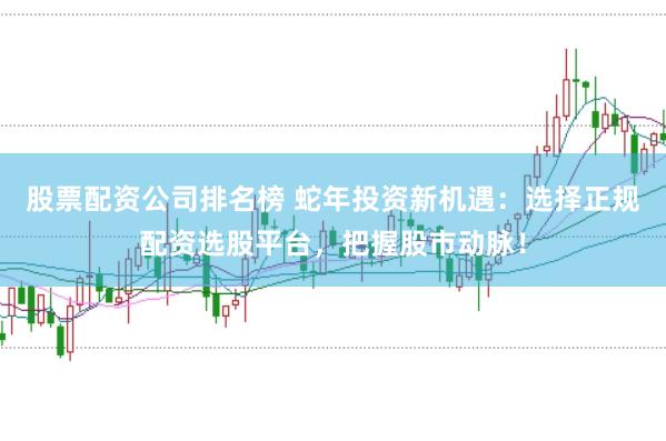 股票配资公司排名榜 蛇年投资新机遇：选择正规配资选股平台，把握股市动脉！