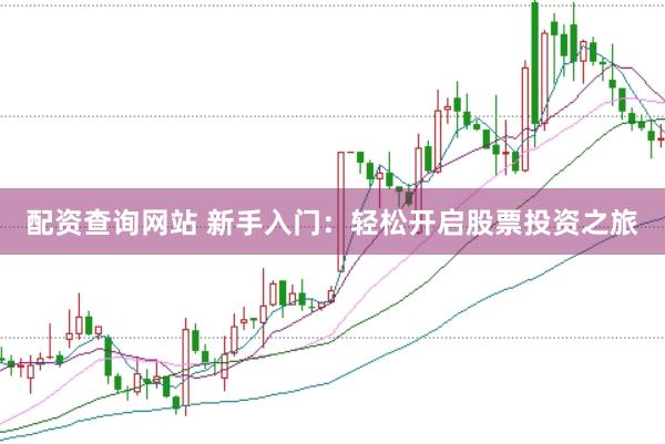 配资查询网站 新手入门：轻松开启股票投资之旅