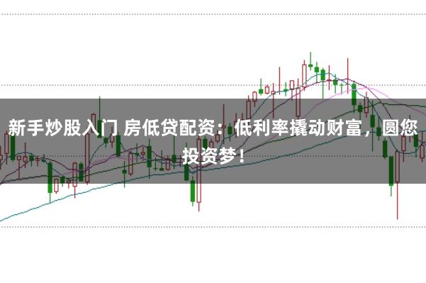 新手炒股入门 房低贷配资：低利率撬动财富，圆您投资梦！