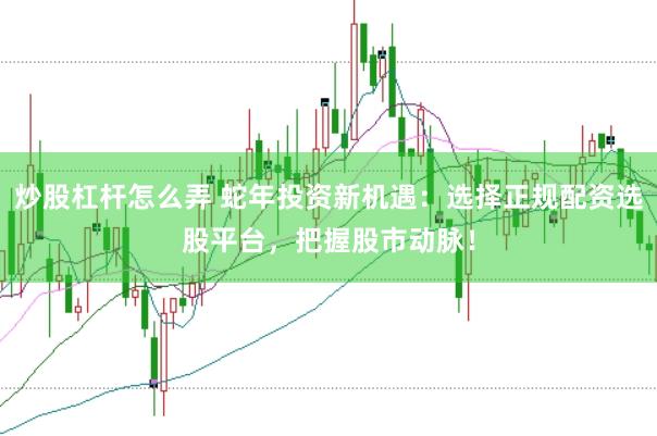 炒股杠杆怎么弄 蛇年投资新机遇：选择正规配资选股平台，把握股市动脉！