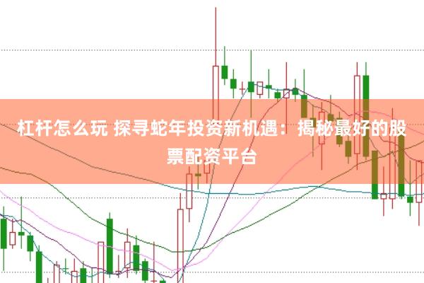 杠杆怎么玩 探寻蛇年投资新机遇：揭秘最好的股票配资平台
