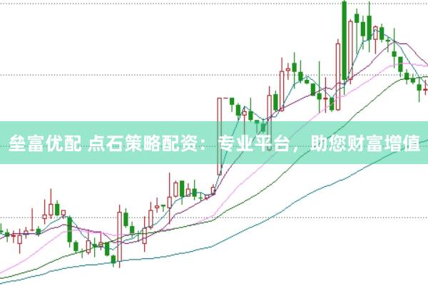 垒富优配 点石策略配资：专业平台，助您财富增值