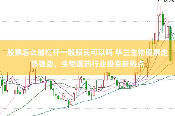 股票怎么加杠杆一般股民可以吗 华兰生物股票走势强劲，生物医药行业投资新热点