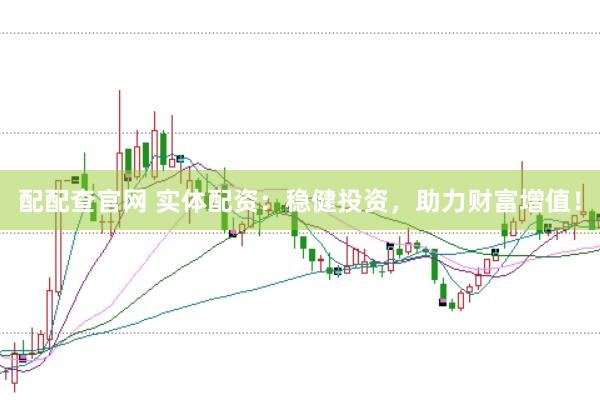 配配查官网 实体配资：稳健投资，助力财富增值！