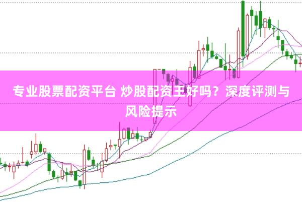 专业股票配资平台 炒股配资王好吗？深度评测与风险提示