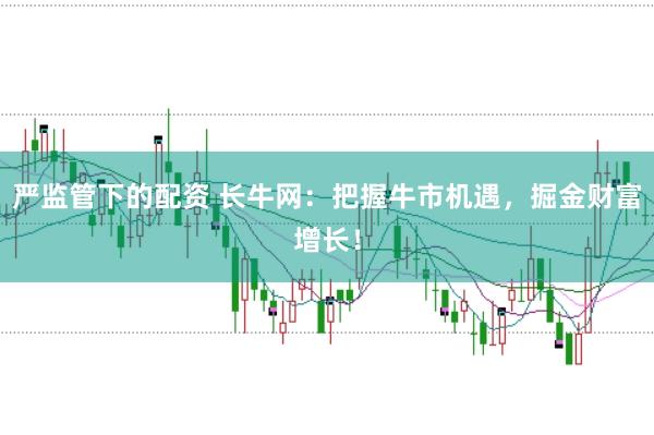 严监管下的配资 长牛网：把握牛市机遇，掘金财富增长！