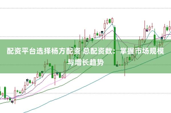 配资平台选择杨方配资 总配资数：掌握市场规模与增长趋势