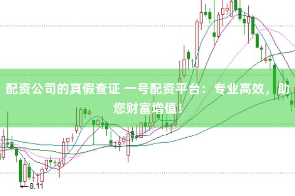 配资公司的真假查证 一号配资平台：专业高效，助您财富增值！