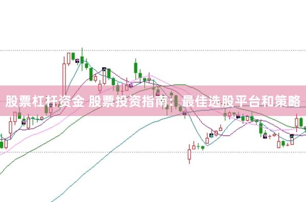 股票杠杆资金 股票投资指南：最佳选股平台和策略