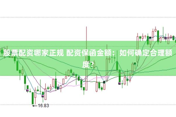 股票配资哪家正规 配资保函金额：如何确定合理额度？