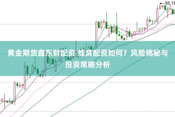 黄金期货鑫东财配资 蜂窝配资如何？风险揭秘与投资策略分析