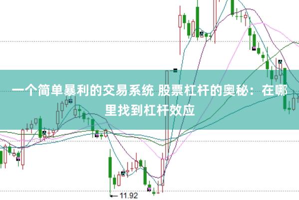 一个简单暴利的交易系统 股票杠杆的奥秘：在哪里找到杠杆效应